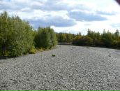 Дмитрий Тарасенко фотография #22 (источник - https://vk.com/id276015)