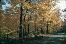 Діма Ковальчук фотография #12 (источник - https://vk.com/id82356598)