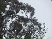 Фотография Ширшова Валеры