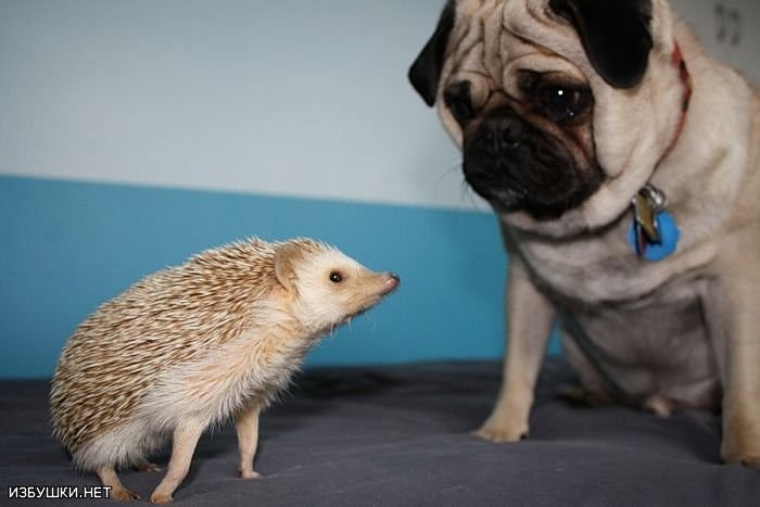 Алексей Арасланов фотография #50