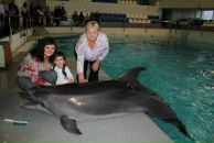 Фотография Aleeva Anna