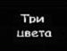 Вася Кікірадзюк фотография #45 (источник - https://vk.com/id71094048)