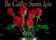 Yılmaz Yok фотография #20 (источник - https://vk.com/id143972290)