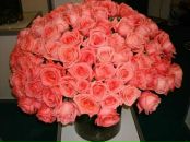 Фотография Некачайло Надежды