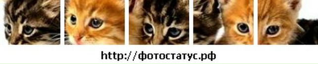 Аліна Третякович фотография #32 (источник - https://vk.com/id36342602)