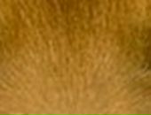 Аліна Третякович фотография #29 (источник - https://vk.com/id36342602)