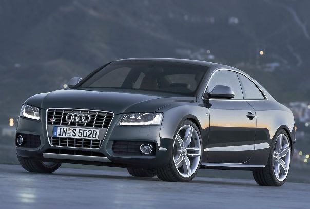 Barracuda Rh фото №3