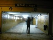 Фотография Рахманинова Александра