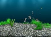 Андрій Дем'янчук фотография #16 (источник - https://vk.com/id63433419)