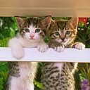 Каріна Ковальчук фотография #7 (источник - https://vk.com/id71177749)