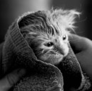 Юлія Шевчук фотография #14 (источник - https://vk.com/id169023051)