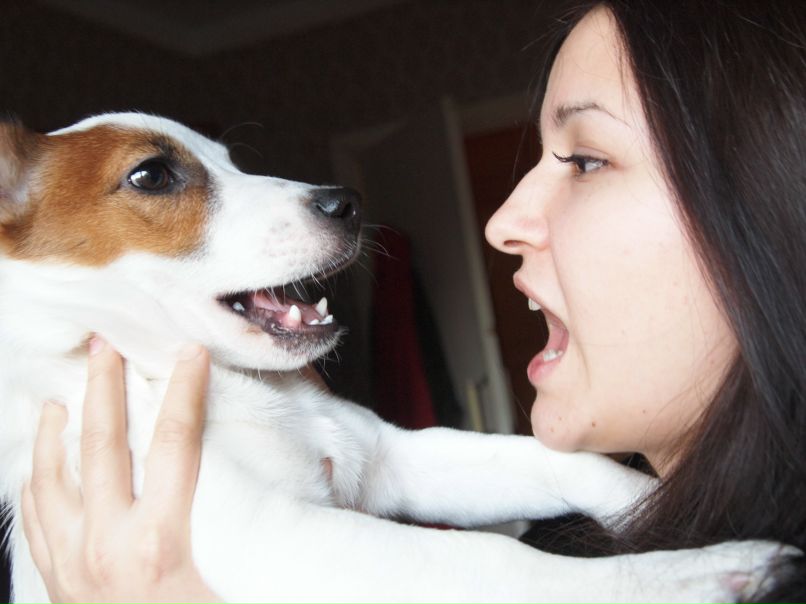 Рустем Аблаев фотография #33