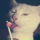 Фотография Абиднева Алексея