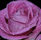 Іван Руднік фотография #38 (источник - https://vk.com/id113826045)