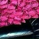 Анічка Альохіна фотография #13 (источник - https://vk.com/id59126344)