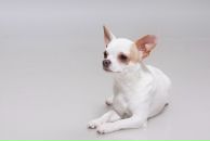 Фотография Борисов Александр