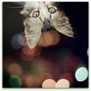 Люся Милашка^^ фотография #50 (источник - https://vk.com/id135176788)