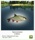 Ігор Брончук фотография #2 (источник - https://vk.com/id100489490)