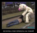Тема Тема фотография #35 (источник - https://vk.com/id34177563)
