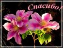 Раїса Модер фотография #17 (источник - https://vk.com/id15764658)