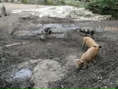 Рома Силаков фотография #10 (источник - https://vk.com/id462288)