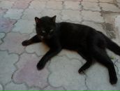 Игорь Ирхин фотография #50 (источник - https://vk.com/id13856481)