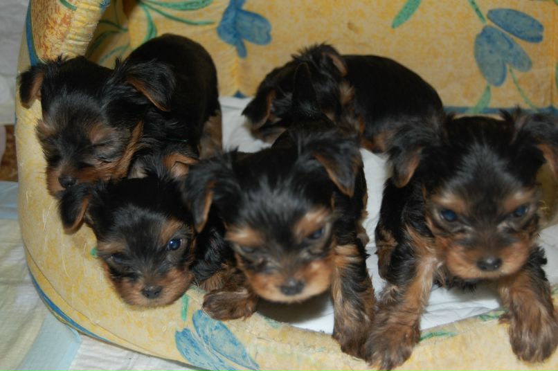 Натали Слепченко фотография #45