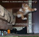 Карина Κозлова фотография #12 (источник - https://vk.com/id109718329)