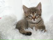 Валерій Матіїшин фотография #19 (источник - https://vk.com/id13193276)