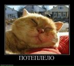 Фотография Камалетдинова Тимура