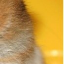 Іра Сакундяк фотография #50 (источник - https://vk.com/id35307343)