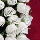 Іра Сакундяк фотография #23 (источник - https://vk.com/id35307343)