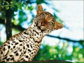 Фотография Булыча Виталия