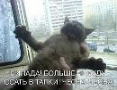 Андрій Федорович фотография #41 (источник - https://vk.com/id113532654)
