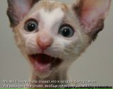 Фотография Vakulenko Lyubov