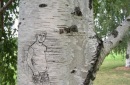 Фотография Сергеева Николая