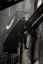 Эдуард Κрюков фотография #6 (источник - https://vk.com/id164770736)