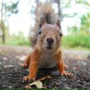 Лєра Білецька фотография #15 (источник - https://vk.com/id31149726)