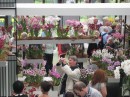 Люда Галаган-Теуніссен фотография #48 (источник - https://vk.com/id43894409)