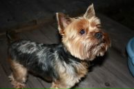 Фотография Касюка Александра