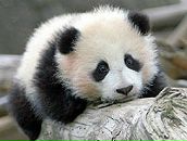 Ірина Стецюк фотография #37 (источник - https://vk.com/id6244582)