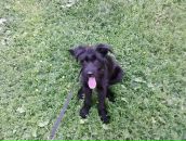 Фотография Лисуновой Евгении