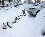 Фотография Ланки Илоны