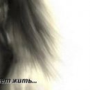 Натакент!!!_)))))))))))))) Ха!!!!!!!!!))))))))))) фотография #27 (источник - https://vk.com/id148146842)