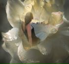 Фотография Милов Денис