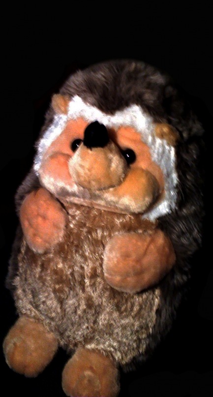 Сергей Солодко фотография #20