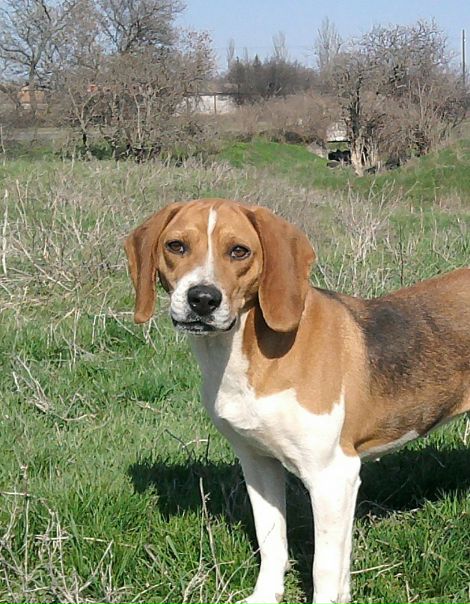 Валентин Ждан фото №47