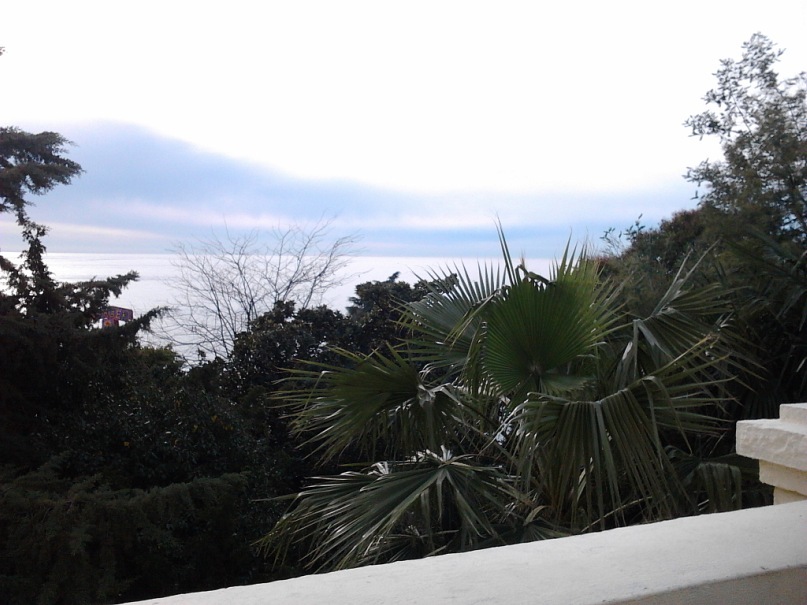 Том Колыч фотография #19