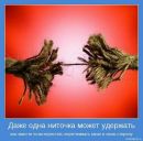 Фотография Шомысовой Люды