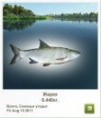 Олег Бердій фотография #49 (источник - https://vk.com/id76580477)